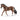 Wałach trakehner
