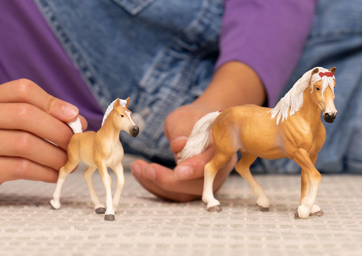 Klacz rasy haflinger