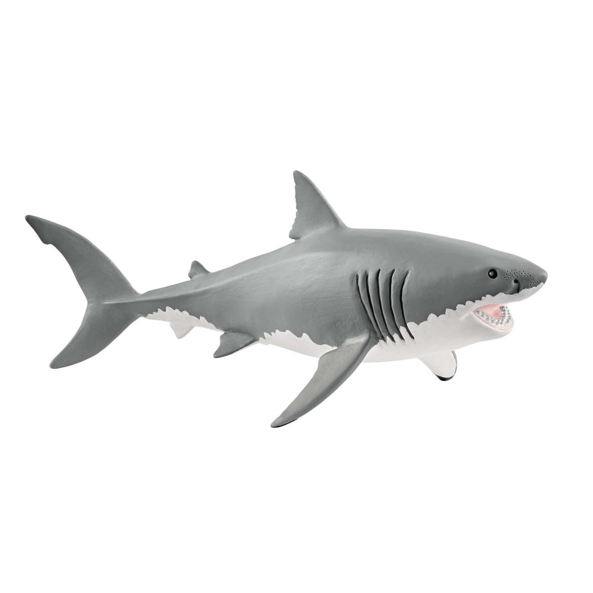 Great white shark