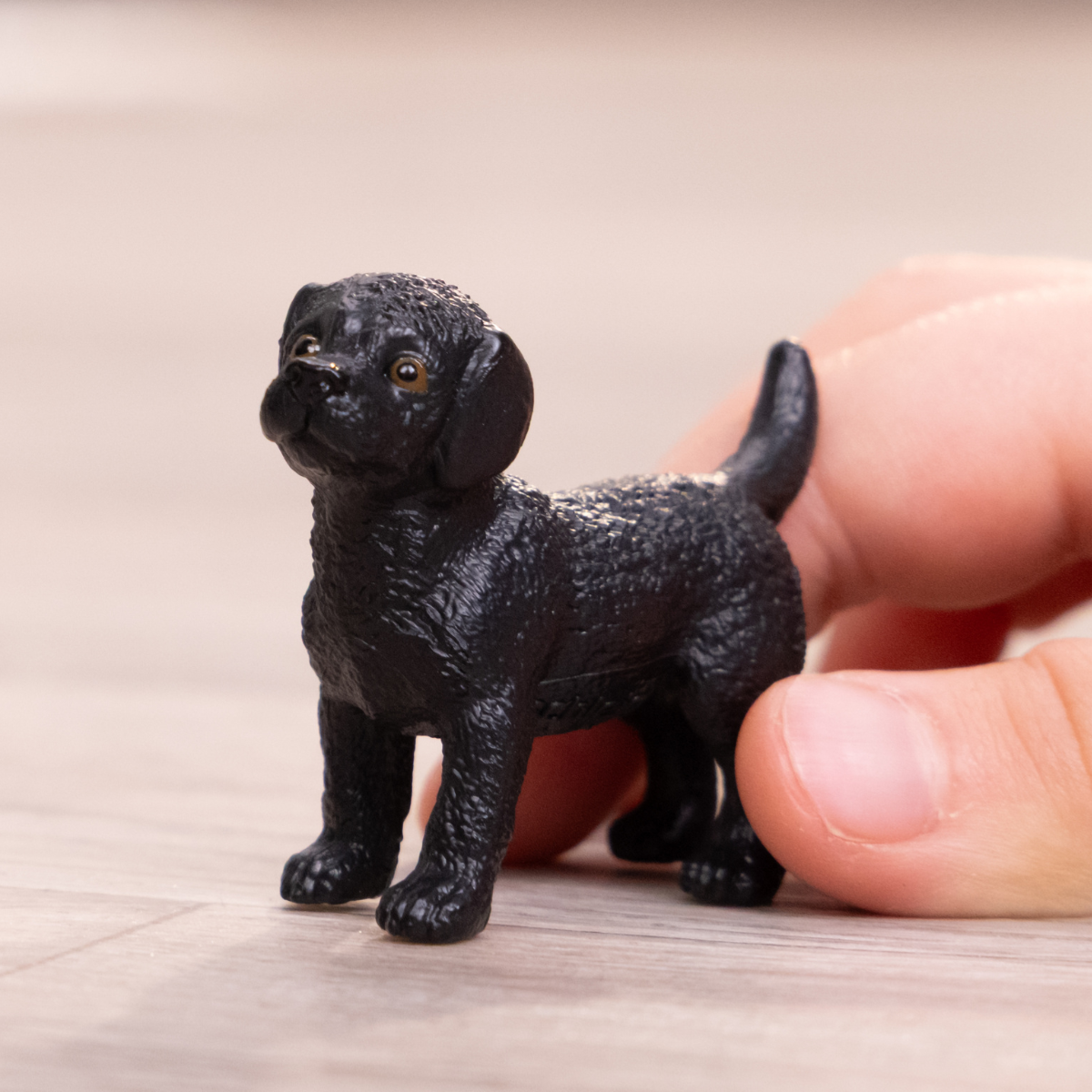 Szczeniak czarnego labradora retrievera