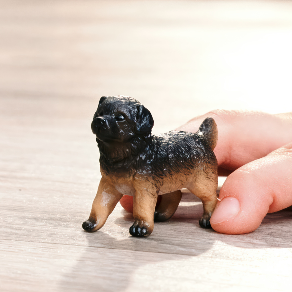 Owczarek niemiecki szczenię