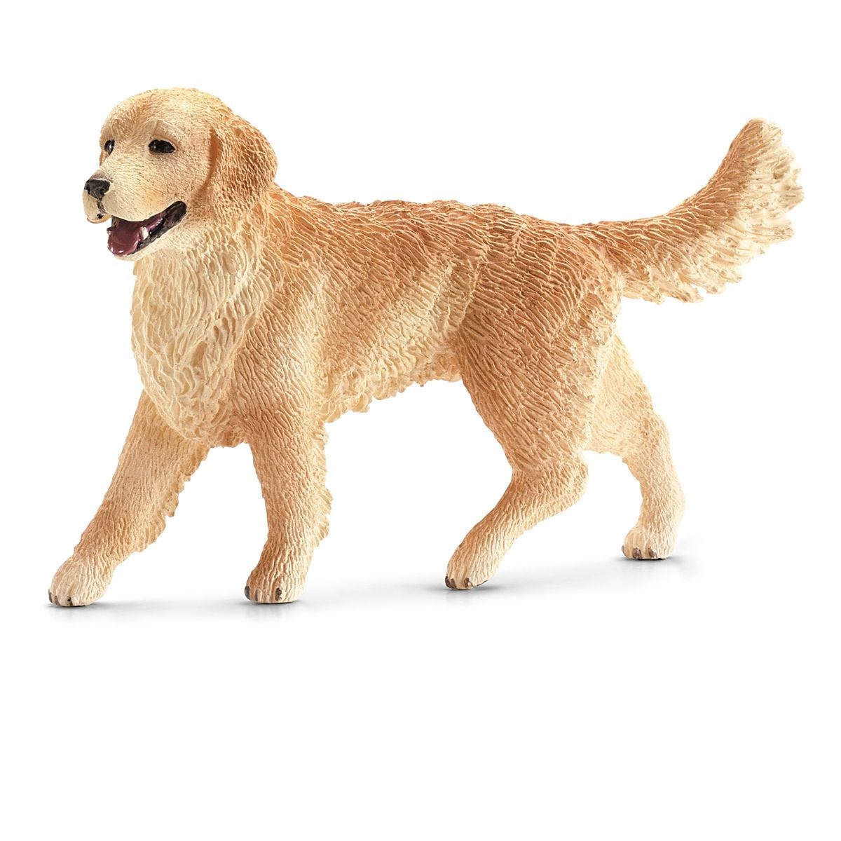 Golden retriever, suka