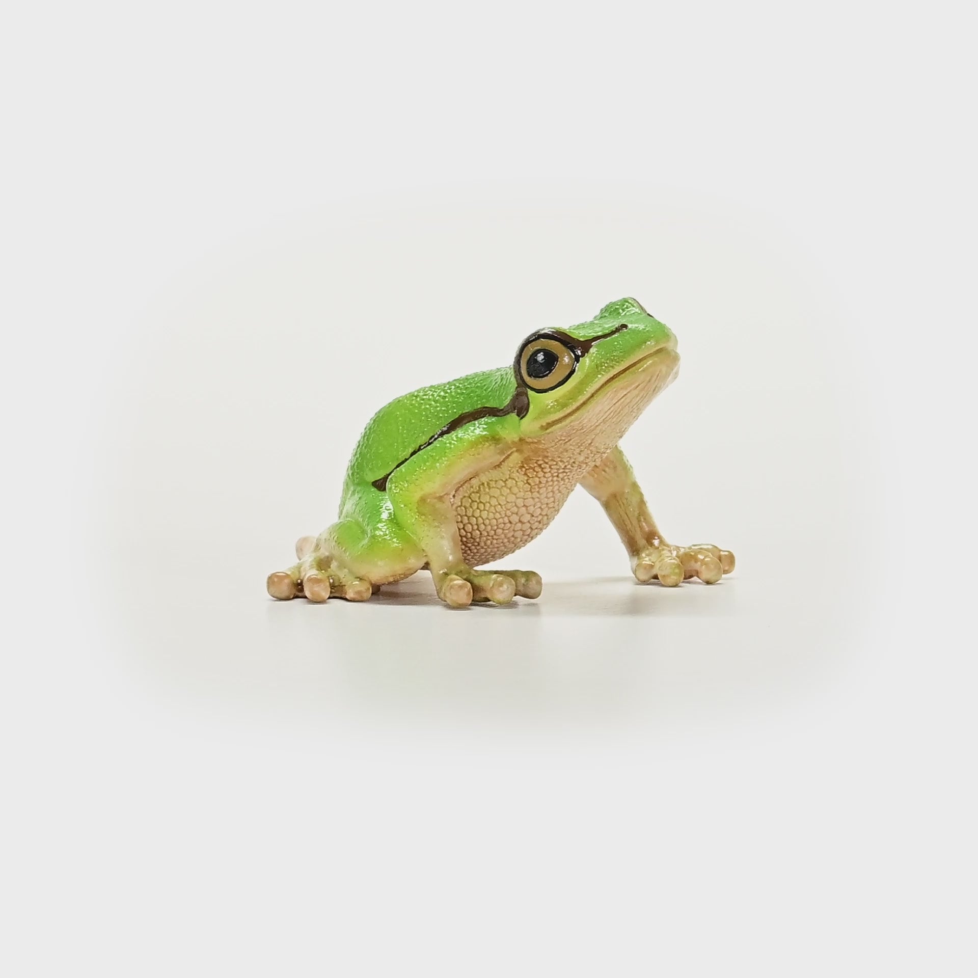 European Tree Frog 14882 WILD LIFE | schleich